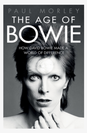 Full Competition Terms And Conditions - Age Of Bowie Book