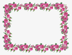 Frame, Border, Hollyhock, Pink, Floral - Frame Flora