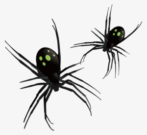 Southern Black Widow Spider Insect Pattern - Southern Black Widow