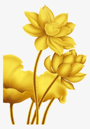 Gold Nelumbo Nucifera Beautifully Decorated Golden