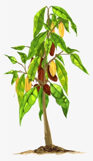 Scroll - Fruit Tree