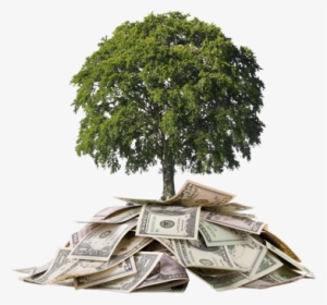 Money-tree About Us - Investments: An Introduction [book]