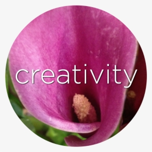 Creativity Purple Calla Lily Flower Essence - Lilac
