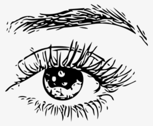 Eye, Eye Ball, Eyebrows, Human, Man - Illustration
