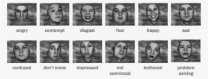 Facial Expressions Explained - All Expressions