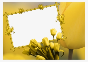 Yellow Frame Png - Yellow Frame Background