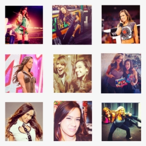 Is She The Hottest Diva, Should Aj Punk Continue » - Aj Lee