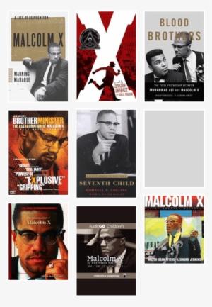 Malcolm X By Walter Dean Myers 9780060562014 (paperback)