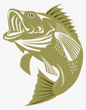 Bass Tournament - Cartoon Bass