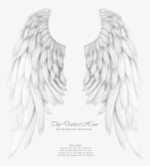 Download White Angel Wings Transparent Clipart Drawing - White Angel Wings Transparent