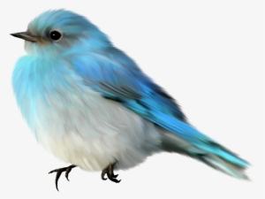 Птицы Png - Поиск - Blue Bird Gif Transparent