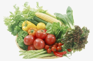 Junk Food Vegetable Fruit