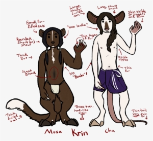 Krin Compare - Cartoon