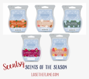 Scentsy Bundle Season - False Scentsy Blue Christmas, Frosted White Birch,