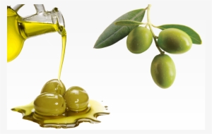 Olive Oil Organic Extra Virgin - Olea Europaea Olive Oil