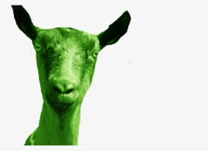 Green Goat