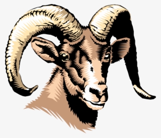 Mountain Goat Royalty Free Vector Clip Art Illustration - Kuruma Sangam