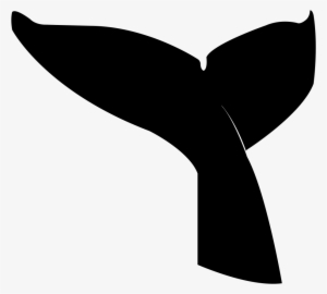 Null - Blue Whale Tail Png