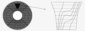 Dot-lines Represents The Stable Foliation And Curved - Line Art