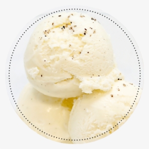 Vanilla Ice Cream Pints - Ice Cream