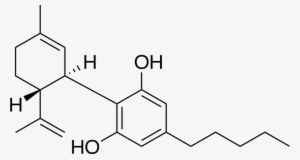 Cbd Molecule