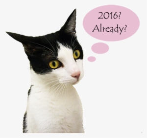 New Year Hat 2015 Png New Years Hat Png New Years Drawings - 2018 Cat New Year