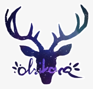 Olsikowa Youtubers, Youtube - Olsikowa