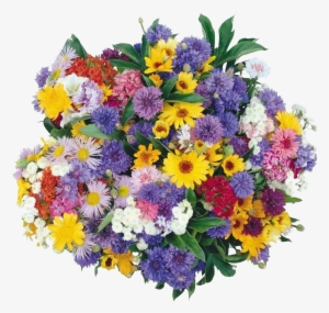 Clip Download Bouquet Youtube Animation Color Chrysanthemums - Flower Bouquet Animation Png