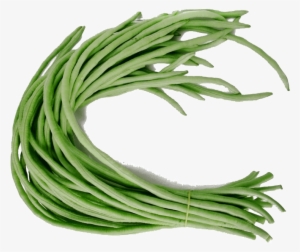 Out Of Stock - Green Loosened Bean Seeds