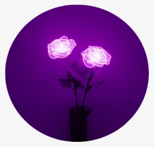 aesthetic lavender background tumblr light pretty png - purple aesthetic