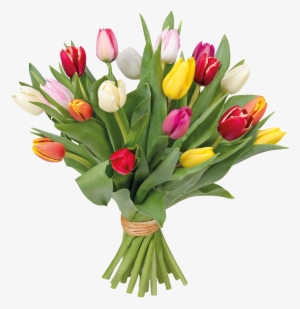Romantic Hand Pot Flower Cartoon Transparent - Ramos De Flores De Tulipanes