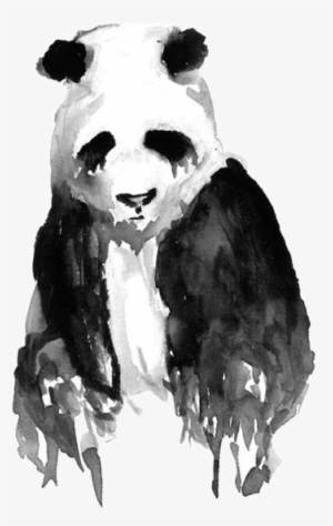 Click To Copy - Panda Water Color Painting