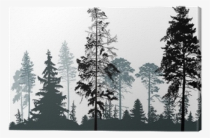 Pine Grey Forest Silhouettes Isolated On White Canvas - Misty Pine Forest Silhouette
