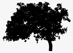 Forest Silhouette Png Download - Silhouette Transparent Background Png