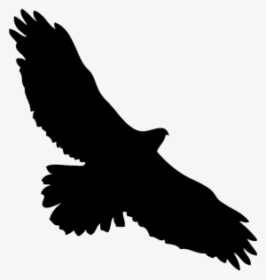Hawk Flying Silhouette Png Clip Art Black And White - Red Tailed Hawk Silhouette