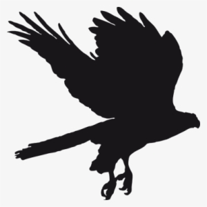 Eagle Silhouette Blackboard Sticker - Flying Bird Silhouette