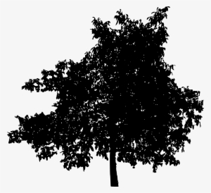 Trees Silhouette Png - Oak Tree Silhouette Png