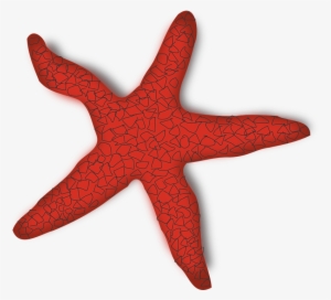 Red, Outline, Star, Silhouette, Cartoon, Fish, Free - Red Starfish Clipart