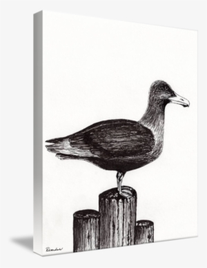 Seagull Portrait On Piling - Openclipart