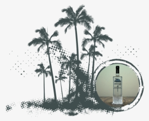 vodka-text vodka palms - best of tropical house the ultimate playlist compilation