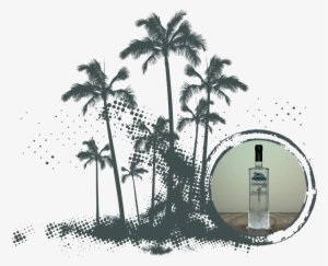Vodka-text Vodka Palms