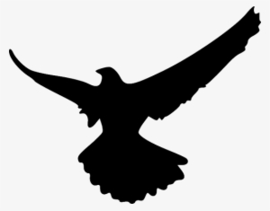 Flying Crow Silhouette Png