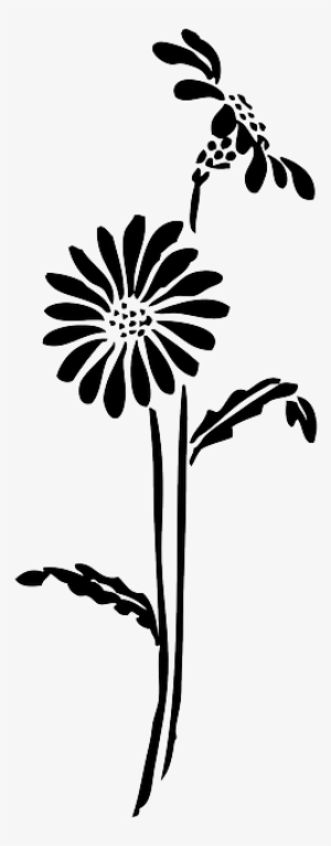 Black, Silhouette, Flower, White, Flowers, Daisy, Plant - Flower Silhouette Transparent Background
