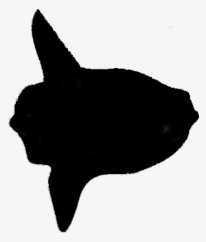 Splendid Mola - Mola Mola Fish Silhouette