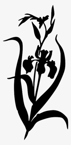 Silhouette, Flower, Free, Iris, Plant, Garden, Bush - Iris Flower Iris Clipart Black And White