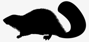 Beaver Mammal Animal Shape Svg Png Icon Free Download - Beaver Shape Black And White