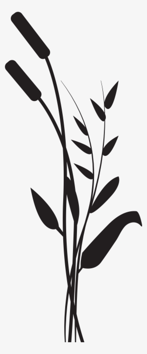 Bulrush Png
