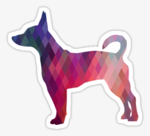 Rat Terrier Dog Colorful Geometric Pattern Silhouette - Rat Terrier