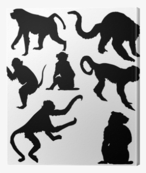 Seven Isolated Monkey Silhouettes Canvas Print • Pixers® - Silhouette
