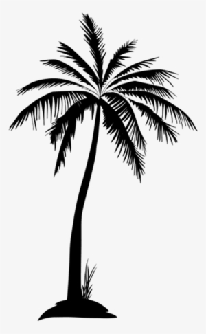 Palmtree Tree Leaves Leaf Silhouette Freetoedit - Palm Trees Black Silhouette